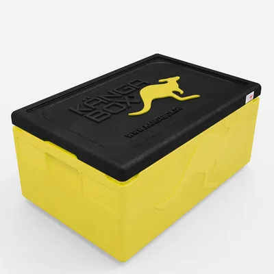 Expert – lemon – 39 L – Bild 1
