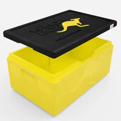 Expert – lemon – 39 L – Bild 2