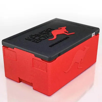 Professional – rot – 39 L – Bild 1