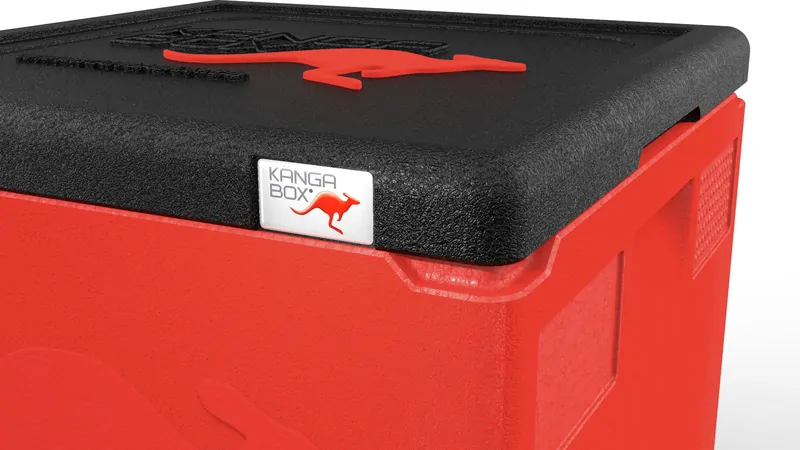 Kängabox Easy rot 21l pic-2