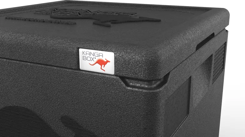 Kängabox Easy schwarz 21l pic-2