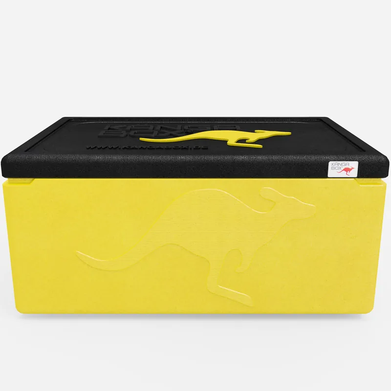 Kängabox Expert GN 1/1 lemon 80l pic-3