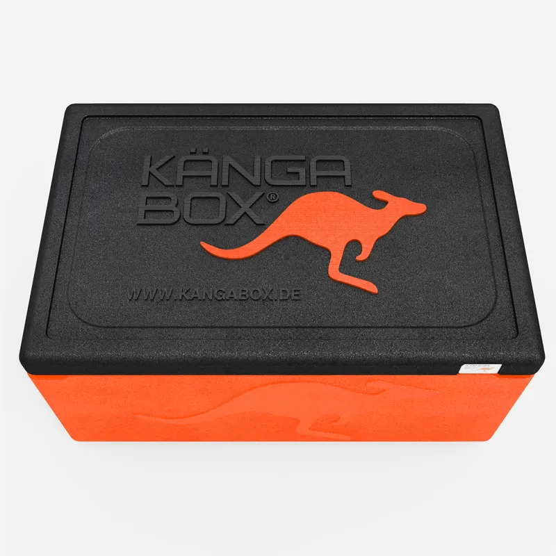 Kängabox Expert GN 1/1 orange 80l pic-5
