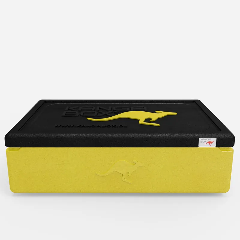 Kängabox Expert GN 1/1 lemon 21l pic-3