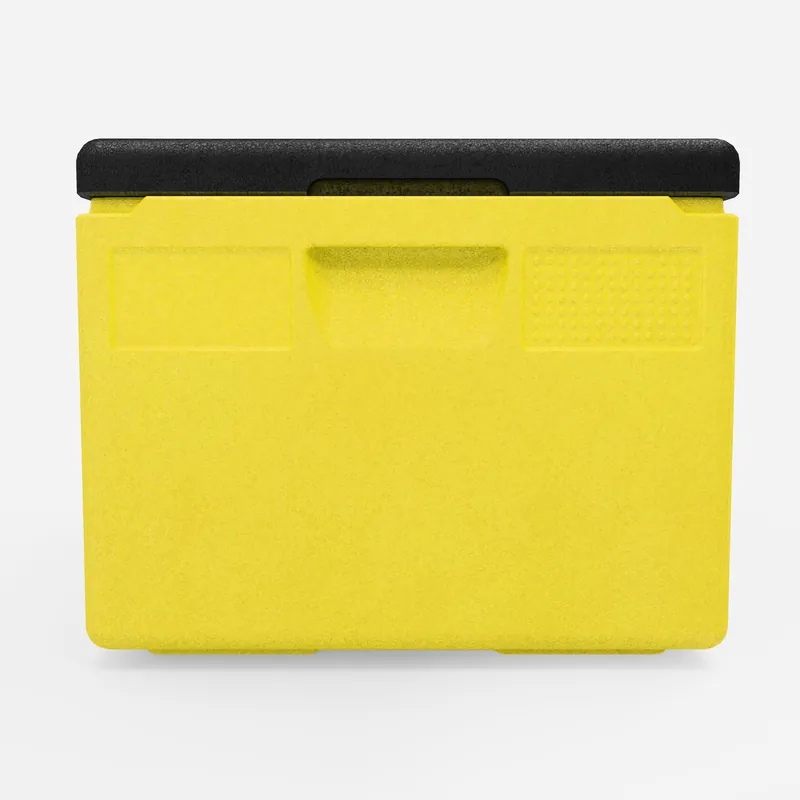 Kängabox Expert GN 1/1 lemon 46l pic-4