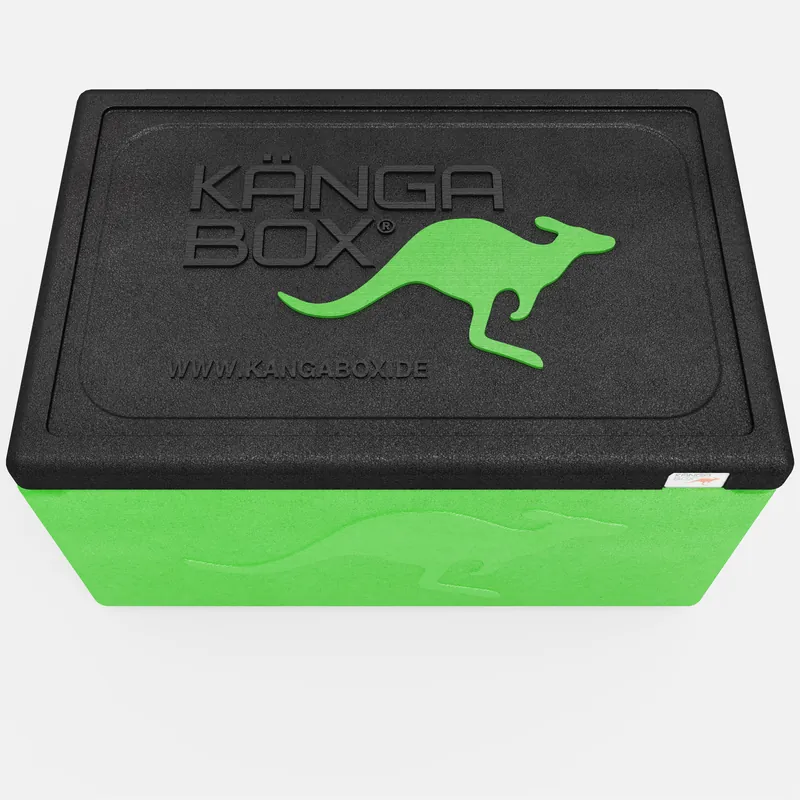 Kängabox Expert GN 1/1 lime 10l pic-5