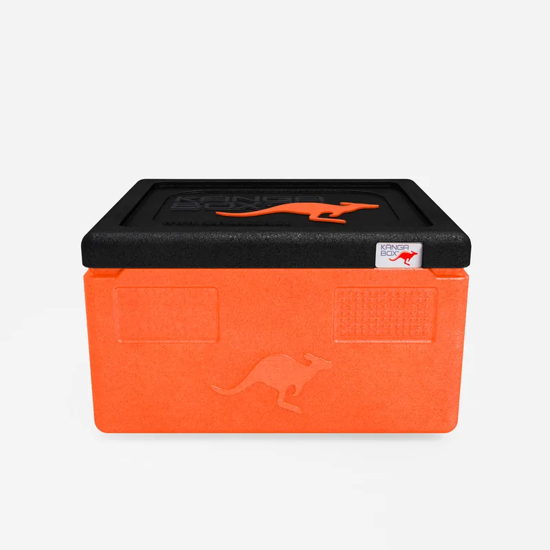 Kängabox Expert GN 1/1 orange 15l pic-3