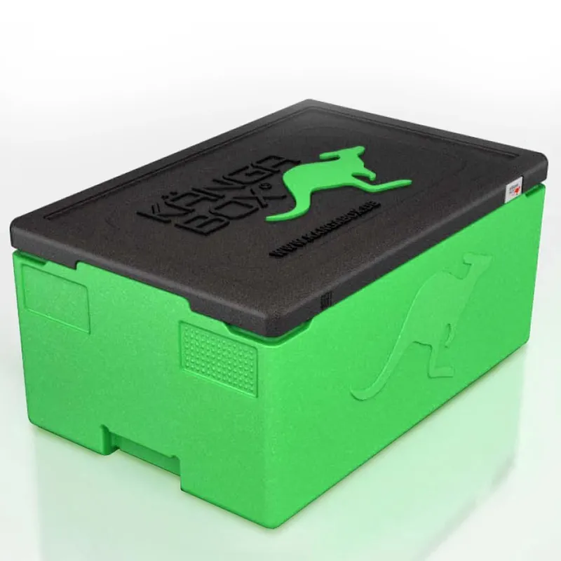 Kängabox Professional GN 1/1 lime 39l pic-1